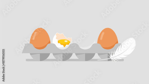 Carton holds three eggs, one cracked, plus a feather