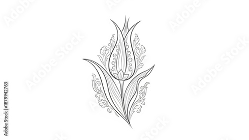 Traditional Ottoman Turkish Tulip Ornament Line Art Illustration