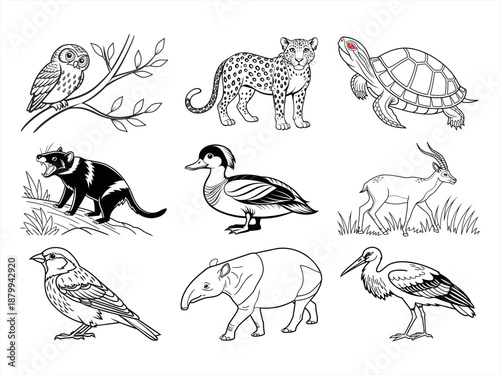 coloring page line art the animal bird and flower black vector bundle