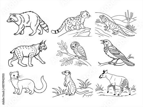 coloring page line art the animal bird and flower black vector bundle