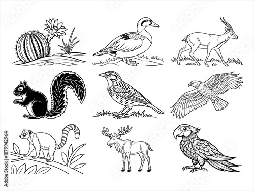 coloring page line art the animal bird and flower black vector bundle
