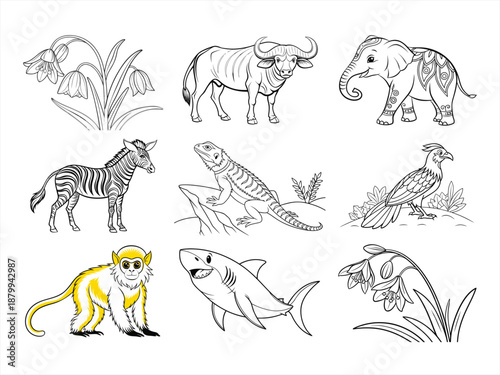 coloring page line art the animal bird and flower black vector bundle