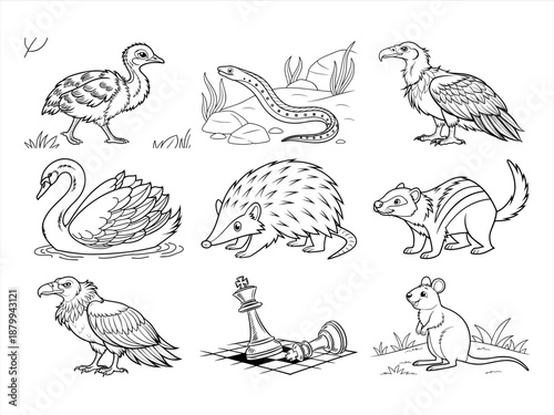coloring page line art the animal bird and flower black vector bundle