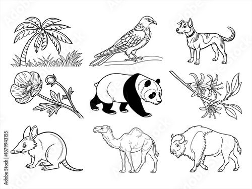 coloring page line art the animal bird and flower black vector bundle