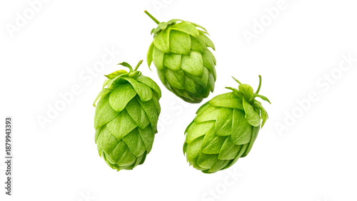 Tableau sur toile Three hop cones isolated on transparent background