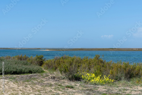  ilha desserta