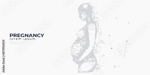 Abstract depiction of a pregnant woman s silhouette with dotted lines and text