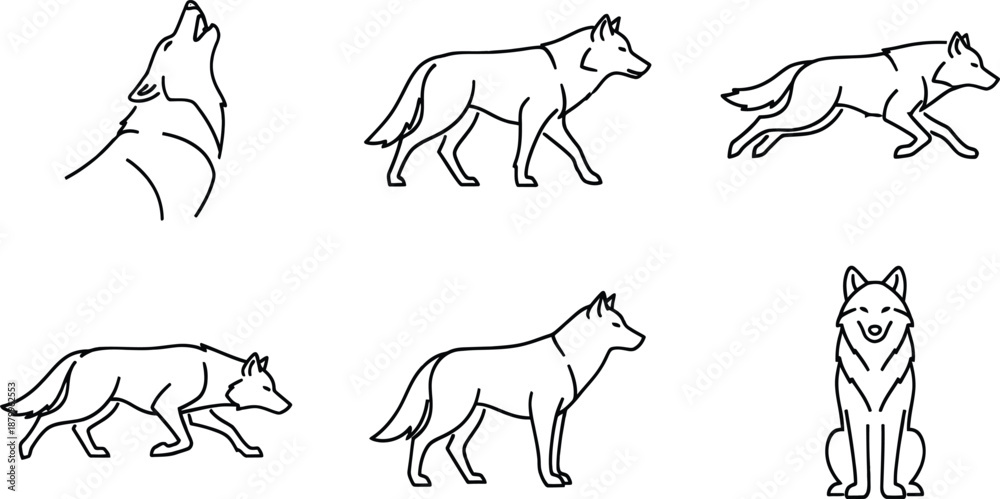 Fototapeta premium Simple line art illustrations of a wolf in various poses like howling, walking, and sitting