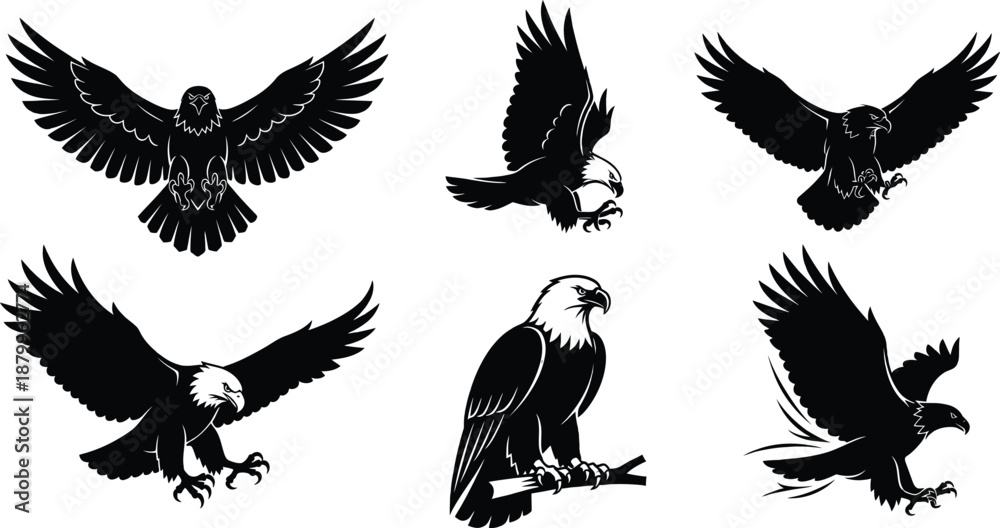 Obraz premium A collection of six bald eagle silhouettes in various poses including flying, swooping, and perching