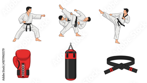 A vector graphic illustration of karate practitioners in various poses with equipment on transparent background