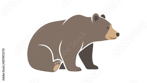 Brown bear sitting on a white background illustration.