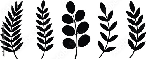 Various black leaf and plant silhouettes showcasing different botanical shapes on a white background