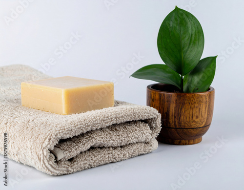 Natural spa still life with soap, towel and green plant on neutral background