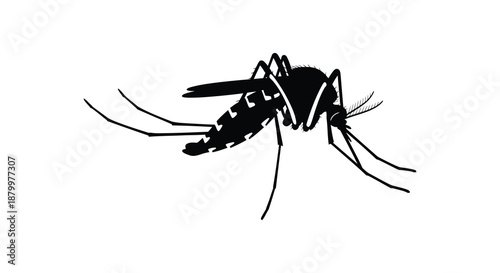 A striking black and white depiction showcases a mosquito in profile highlighting its delicate wings and slender form a stark silhouette