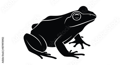 A striking black frog is prominently displayed in a detailed artistic rendering showing its form and texture silhouette high quality professional