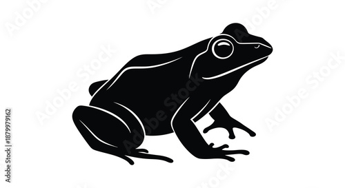 A striking depiction of a black frog poised and alert rendered in a bold and graphic silhouette high quality professional detailed
