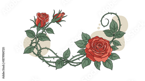 Beautiful decorative frame made of intertwined red rose flowers and thorny vines in a vintage illustration style.