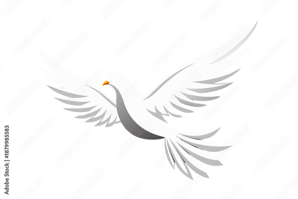 Fototapeta premium dove with wings