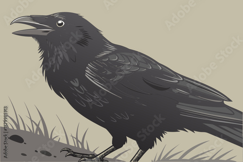 crow on the ground