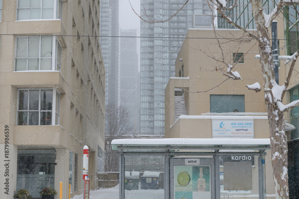 Fototapeta premium public transit shelter on Queens Quay West during a snow storm on 2026-01-15 in Toronto