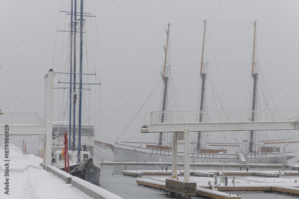 Naklejka premium Empire Sandy tall ship in Toronto harbor during a snow storm on 2026-01-15 (Harbourfront Centre)