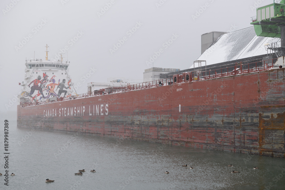 Fototapeta premium CSL Welland (self-unloading bulk carrier) with sugar cargo docked at Redpath Sugar Refinery located at, 95 Queens Quay E, during a snow storm on 2026-01-15 in Toronto