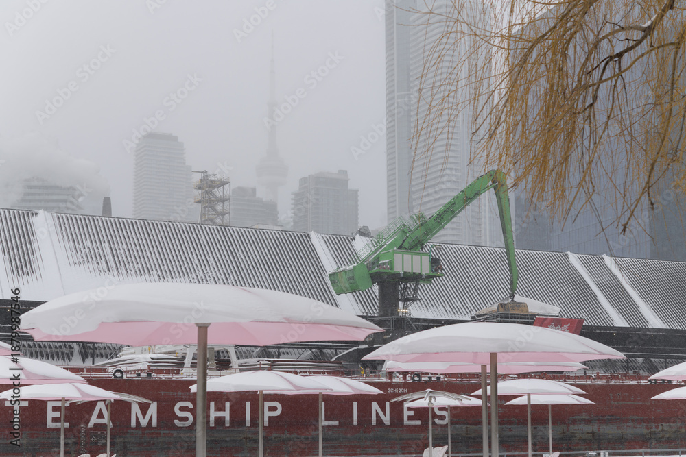 Fototapeta premium CSL Welland (self-unloading bulk carrier) with sugar cargo docked at Redpath Sugar Refinery located at, 95 Queens Quay E, during a snow storm on 2026-01-15 in Toronto