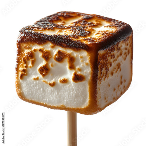 Toasted marshmallow on a stick close up