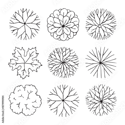 CAD Trees Top View Set – Landscape Design and Architectural Elements