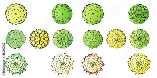 Variety of colorful succulent plants with unique shapes and patterns