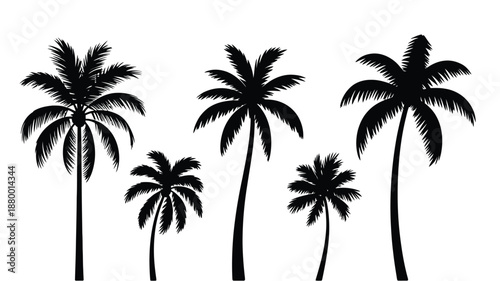 Palm tree silhouettes vector set isolated on white background, tropical summer nature icons