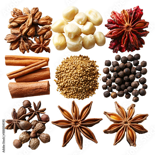 Variety of spices grid pattern on transparent background