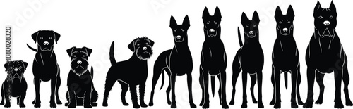 Large set of black dog silhouettes featuring various breeds from small to large sizes, canine head and body profiles for animal lovers