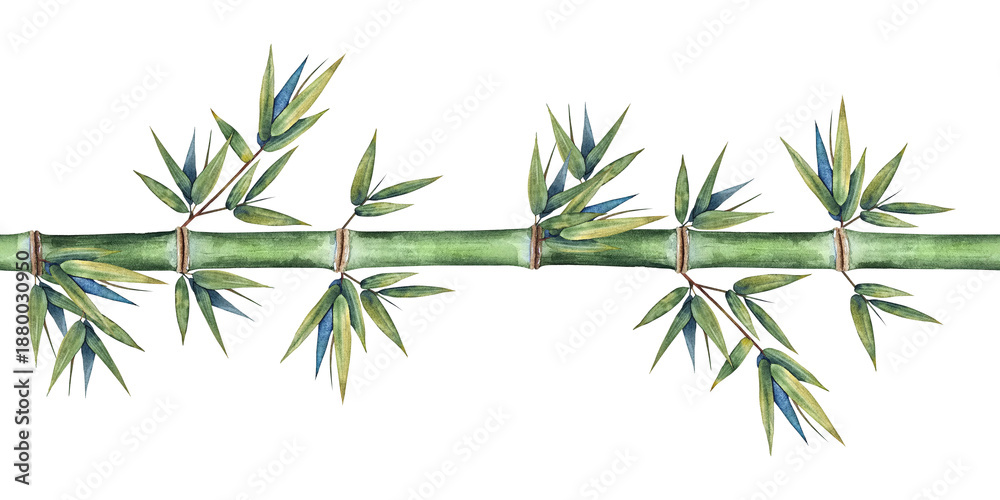 Obraz premium Watercolor seamless bamboo border with green stems and leaves in a clean botanical style. Illustration for packaging, textiles, wallpaper eco brands, spa wellness and Asian-inspired designs.