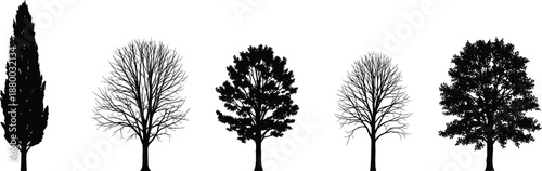 Set of realistic tree silhouettes including evergreen and leafless winter trees isolated on white background for landscape design