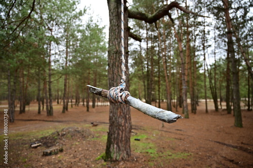 A lonely bungee on a tree branch.