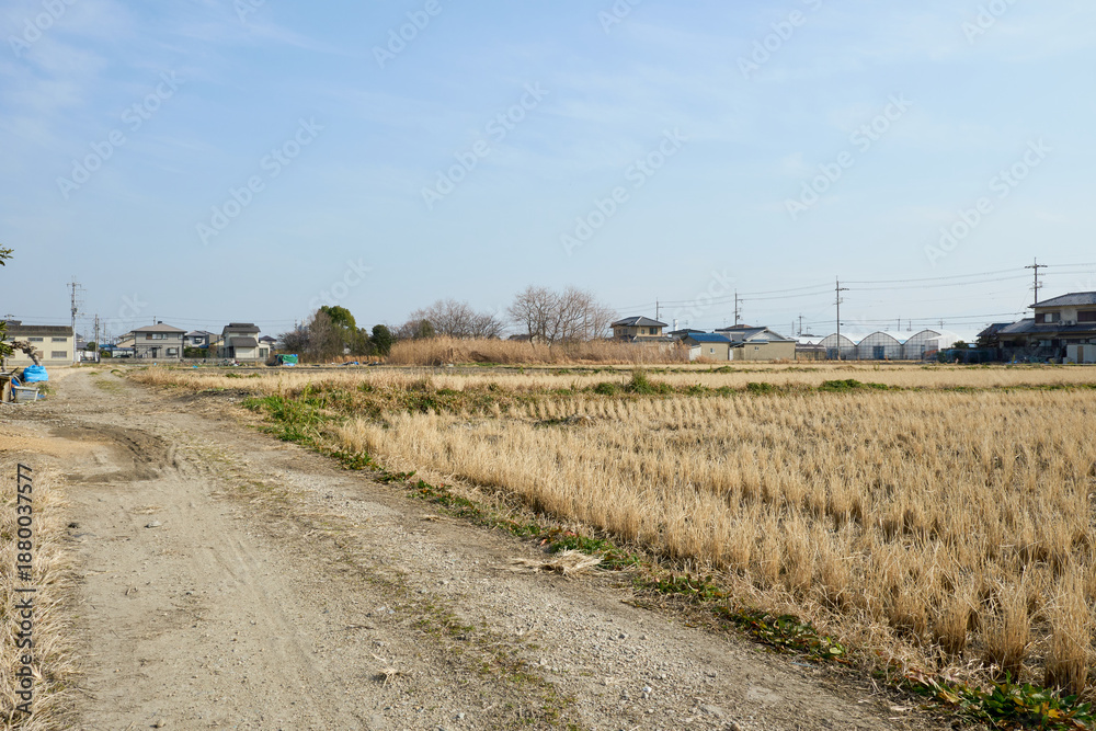 Obraz premium 冬の田園地帯をまっすぐに伸びる農道