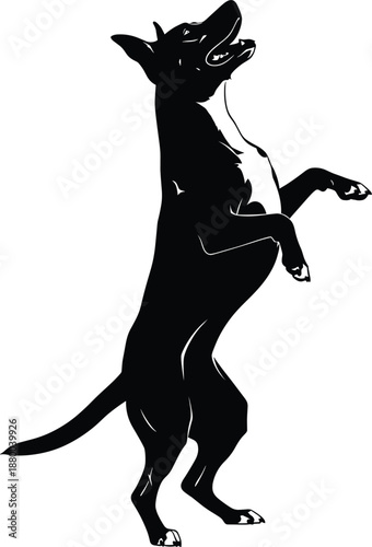 Black and white dog silhouette vector illustration showing a playful pet standing on hind legs for animal training concepts.
