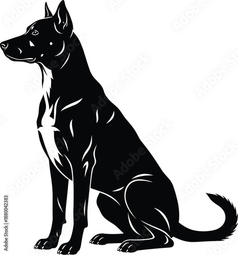 фотографія Black and white sitting Belgian Malinois dog silhouette vector illustration for professional k9 training security services and animal protection branding
