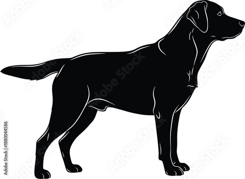 Black and white standing Labrador Retriever dog silhouette vector illustration for professional pet breeding services canine sports and animal rescue branding designs.