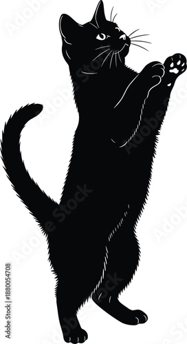 Playful black cat silhouette standing on hind legs reaching up with paws isolated on white background for designs.