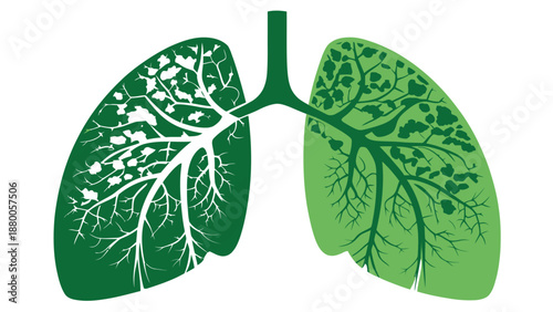 Healthy lung with green leaves contrasting with smoker's damaged lung