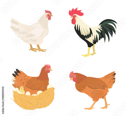 Cute cartoon farm birds collection. Vector hand drawn illustrations of chicken, chicks, eggs, hen and rooster isolated on white background. Set of poultry clip.