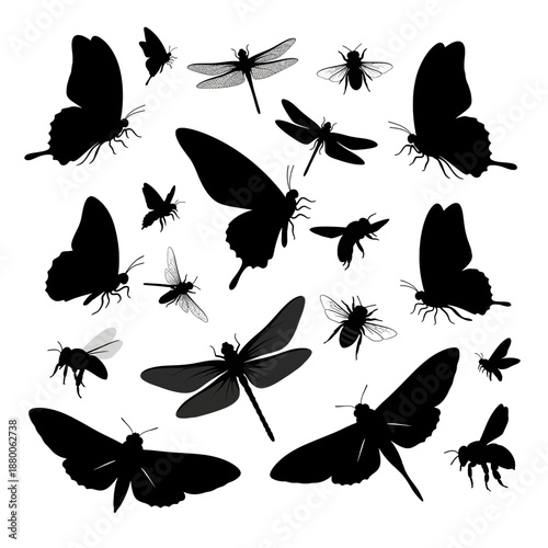 set of butterflies silhouettes