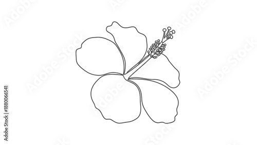Minimalist continuous line drawing of a tropical hibiscus flower