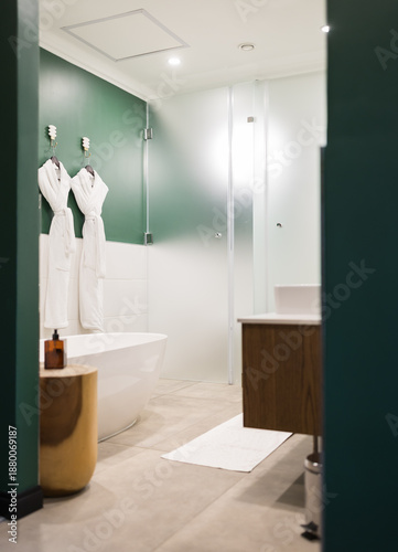 modern bathroom interior with bathroom