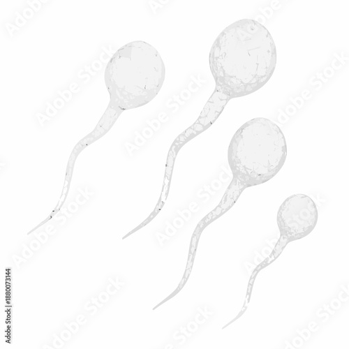 Detailed illustration of human sperm cells on a plain white background