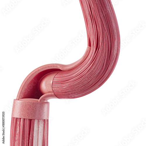 Close-up of Flexible Pink Material in a Curved Shape With Smooth Texture and ...