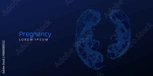 Polygonal blueprint of human kidneys with pregnancy text on dark blue background