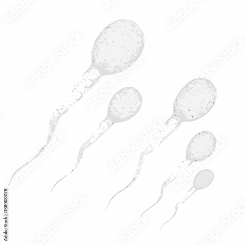 A depiction of human sperm cells isolated on a clean white background